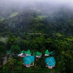 Resort Misty Resorts, ***